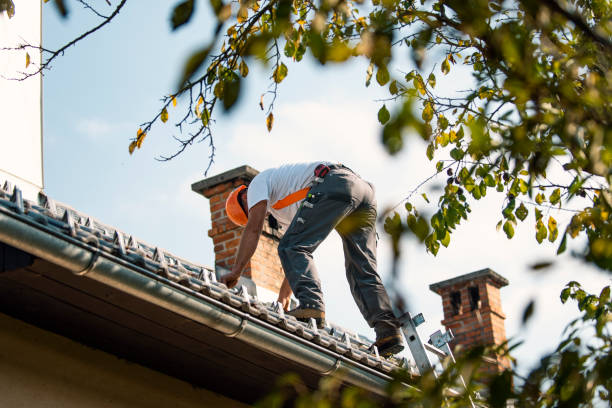 Best Storm Damage Roof Repair  in Carver, MN